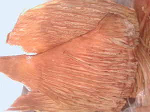 Филе из крыла сушеного кальмара, разделанное вручную (Dried hand-divided Squid Wings fillet)