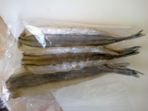 сушеная рыба-игла (Dried needlefish)