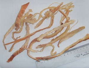 сушеный кальмар нарезка (Dried sliced squid sticks)