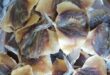 Сушеные-морепродукты-из-Вьетнама.-Цены-от-1-декабря-2023