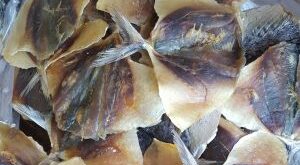Сушеные-морепродукты-из-Вьетнама.-Цены-от-1-декабря-2023