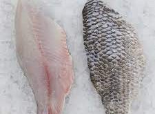 Прайс-лист-на-замороженную-рыбу-и-морепродукты